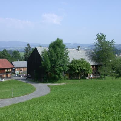 Egg – Bild 13
