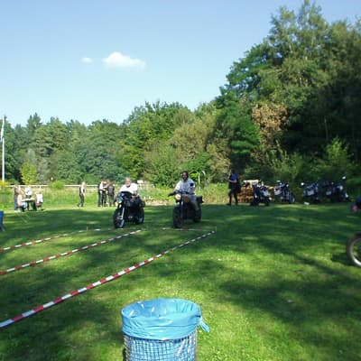 Leonberg – Bild 9