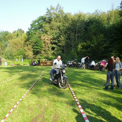 Leonberg – Bild 13