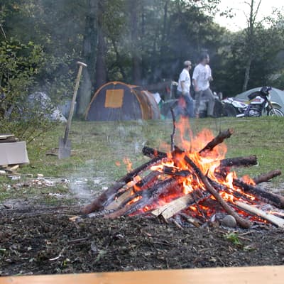 Leonberg – Bild 35
