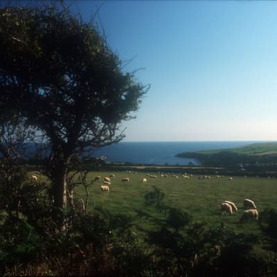 Isle of Man – Bild 66