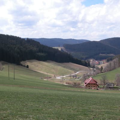 Hegaublick – Bild 2