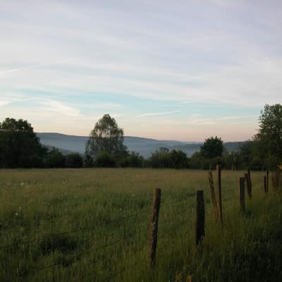 Minden – Bild 16