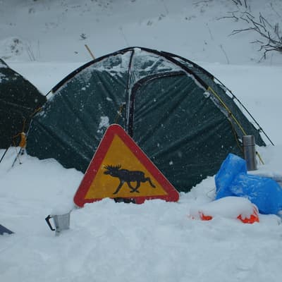 Tauerntreffen – Bild 4