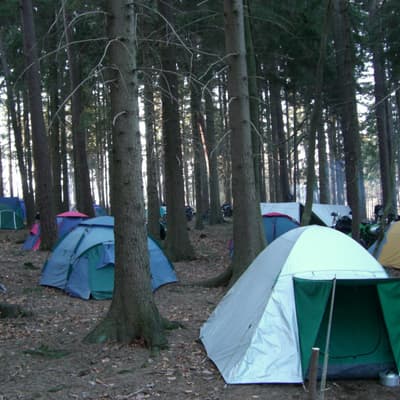 Hammelbach – Bild 39