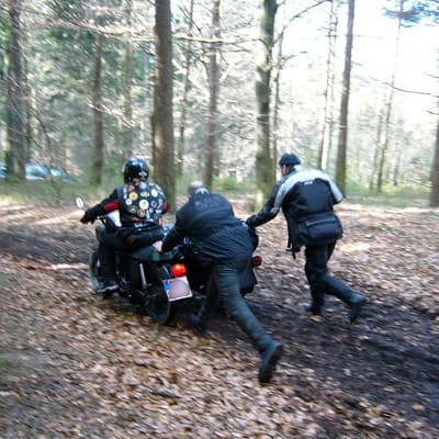 Hammelbach – Bild 47