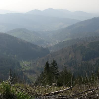 Biblisheim – Bild 9