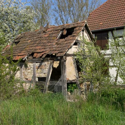 Biblisheim – Bild 46