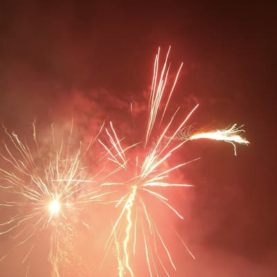 Silvester – Bild 3
