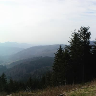 Biblisheim – Bild 8