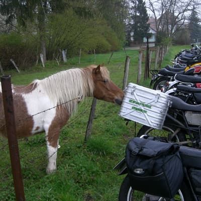 Biblisheim – Bild 14