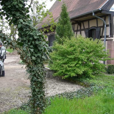Biblisheim – Bild 49