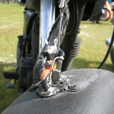 30 Jahre SR500 – Bild 59