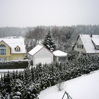Hammelbach – Bild 1