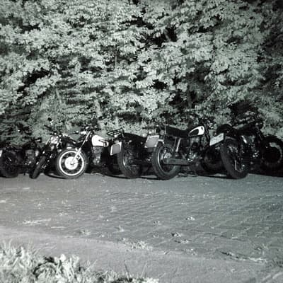 Münster – Bild 32