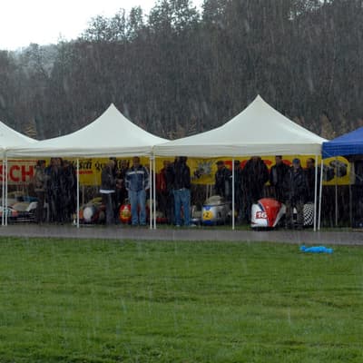 Leonberg – Bild 17