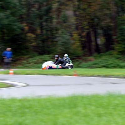 Leonberg – Bild 30