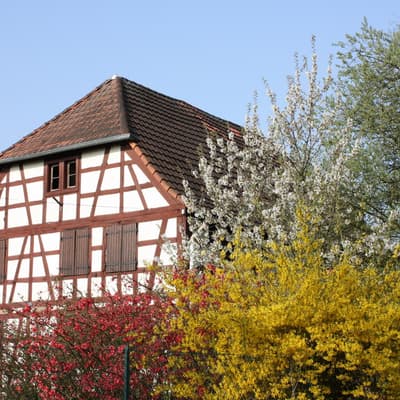 Biblisheim – Bild 5