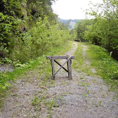 Sölkpass – Bild 17