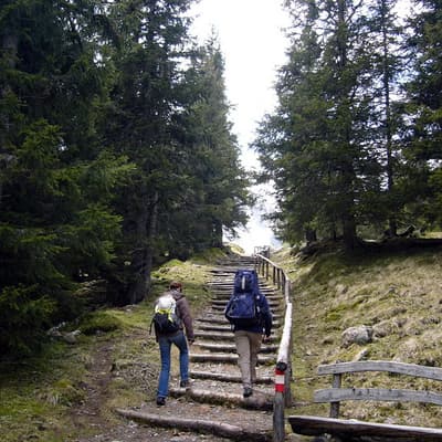 Sölkpass – Bild 60
