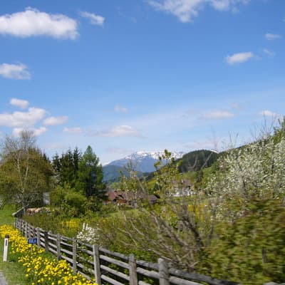 Sölkpass – Bild 92