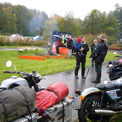 Leonberg – Bild 4