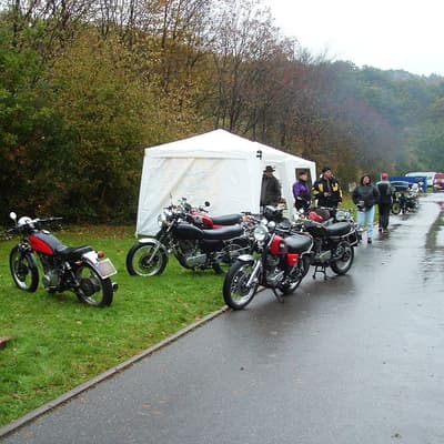Leonberg – Bild 31