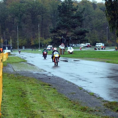 Leonberg – Bild 38