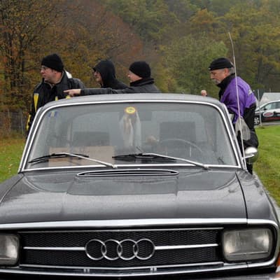 Leonberg – Bild 50