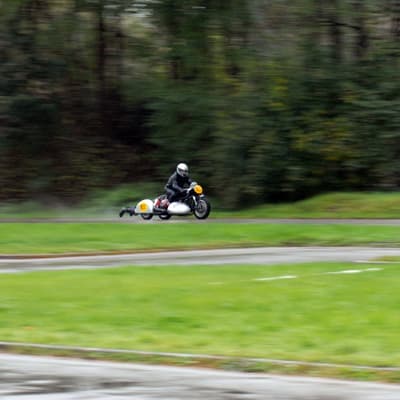 Leonberg – Bild 54