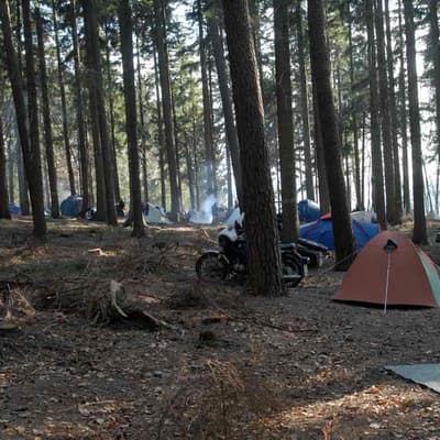 Hammelbach – Bild 24