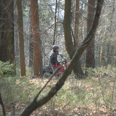Hammelbach – Bild 26