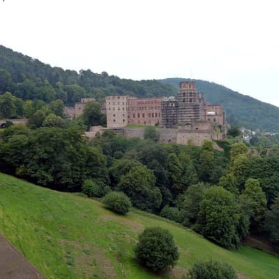 Heidelberg – Bild 7