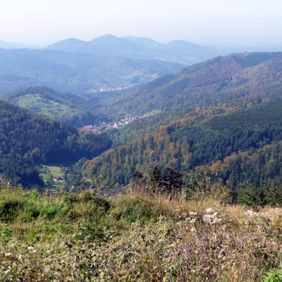 Wildbad – Bild 55