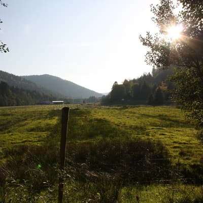Wildbad – Bild 76
