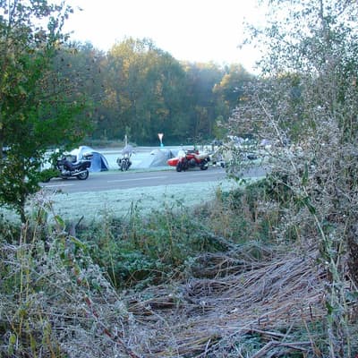 Leonberg – Bild 5