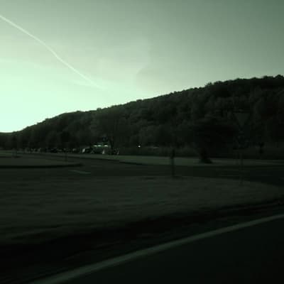 Leonberg – Bild 66