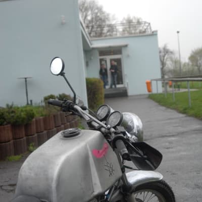 Stephan – Bild 1