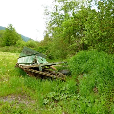 Sölkpass – Bild 72