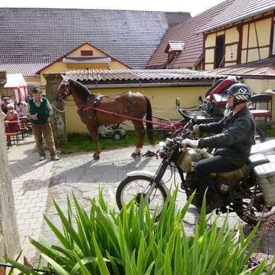 Hofgut Georgenau – Bild 28