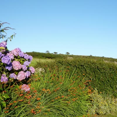 Isle of Man – Bild 122