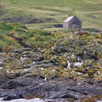 Isle of Man – Bild 131