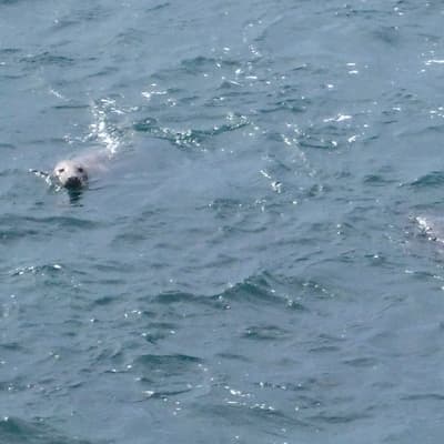 Isle of Man – Bild 132