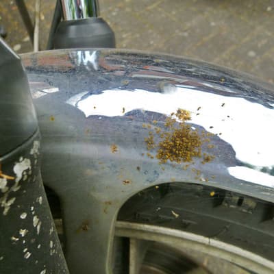 35 Jahre SR500 – Bild 67