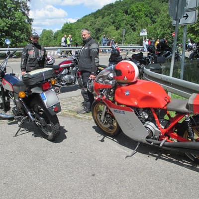 Schwarzwald – Bild 1