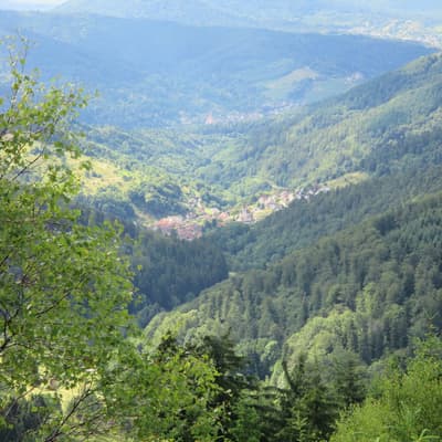 Schwarzwald – Bild 9
