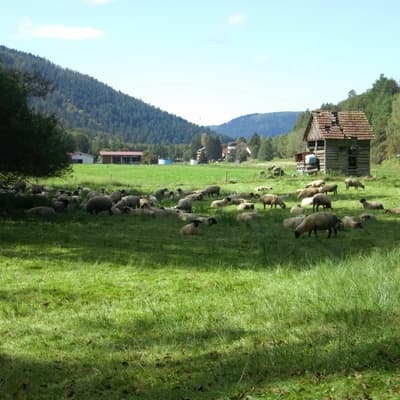 Wildbad – Bild 18