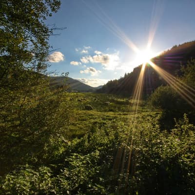 Wildbad – Bild 55