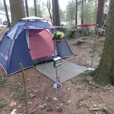 Hammelbach – Bild 19
