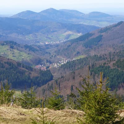Biblisheim – Bild 9